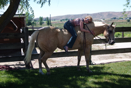 Sue Boswell and Shon